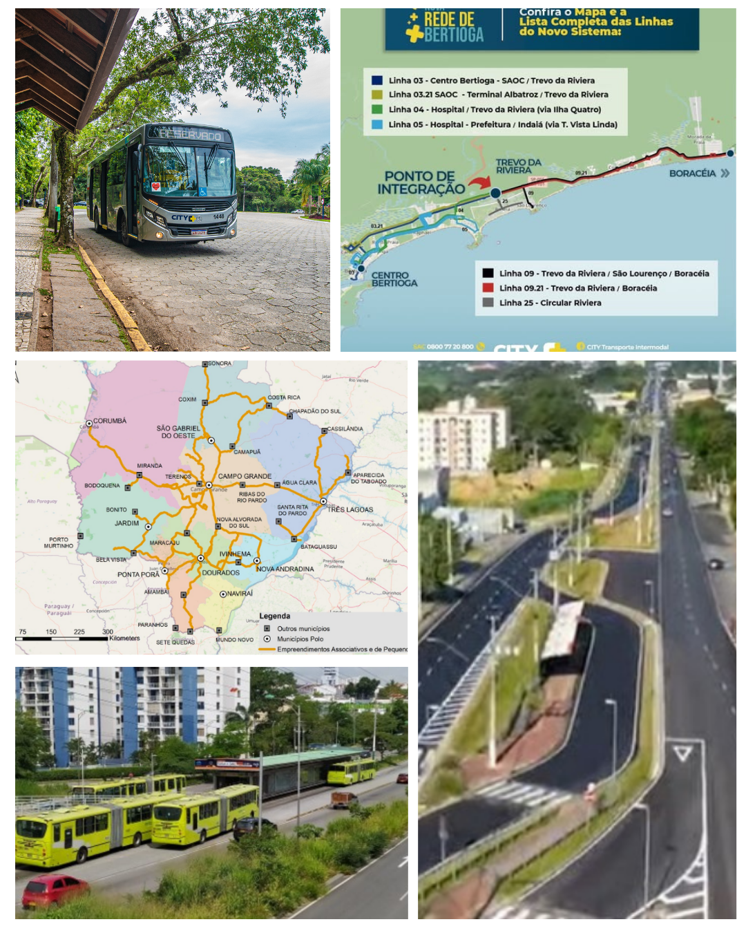 mosaico estudos e projetos.png